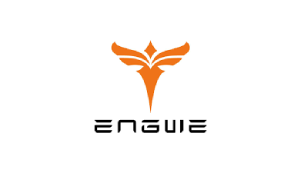 Engwe screenshot