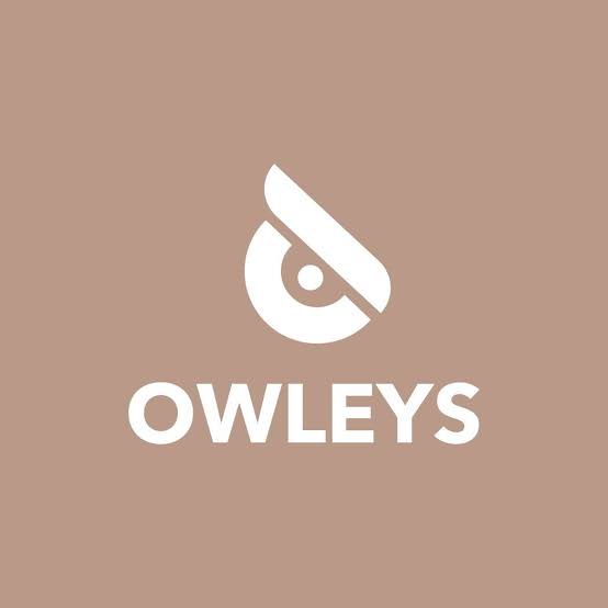 Owleys US screenshot